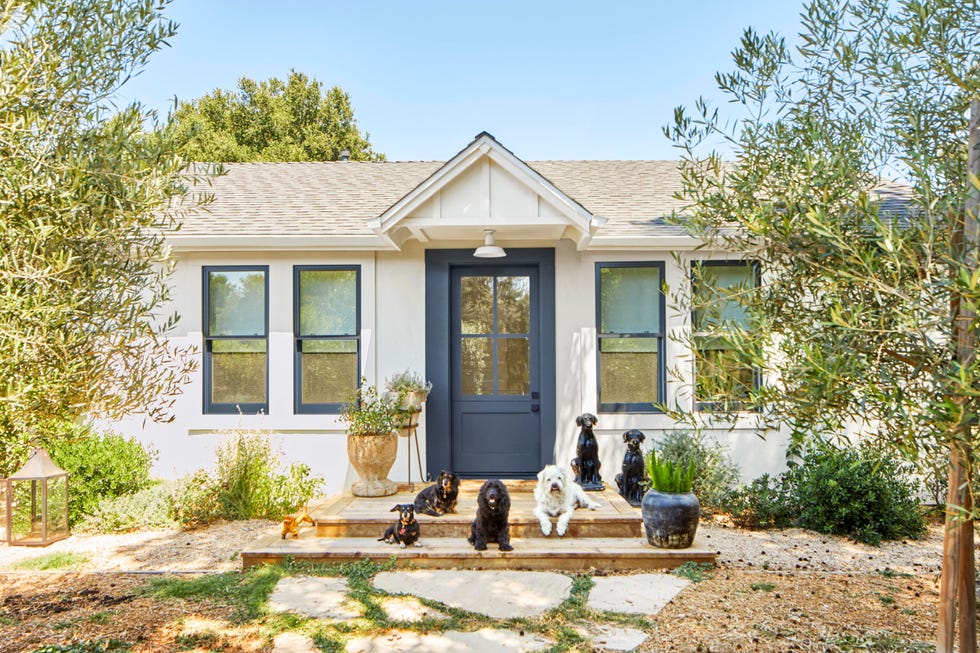 dogs in front of small white cottage dogs in front of small white cottage with dark gray door