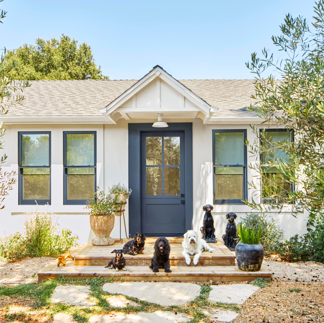 dogs in front of small white cottage dogs in front of small white cottage with dark gray door