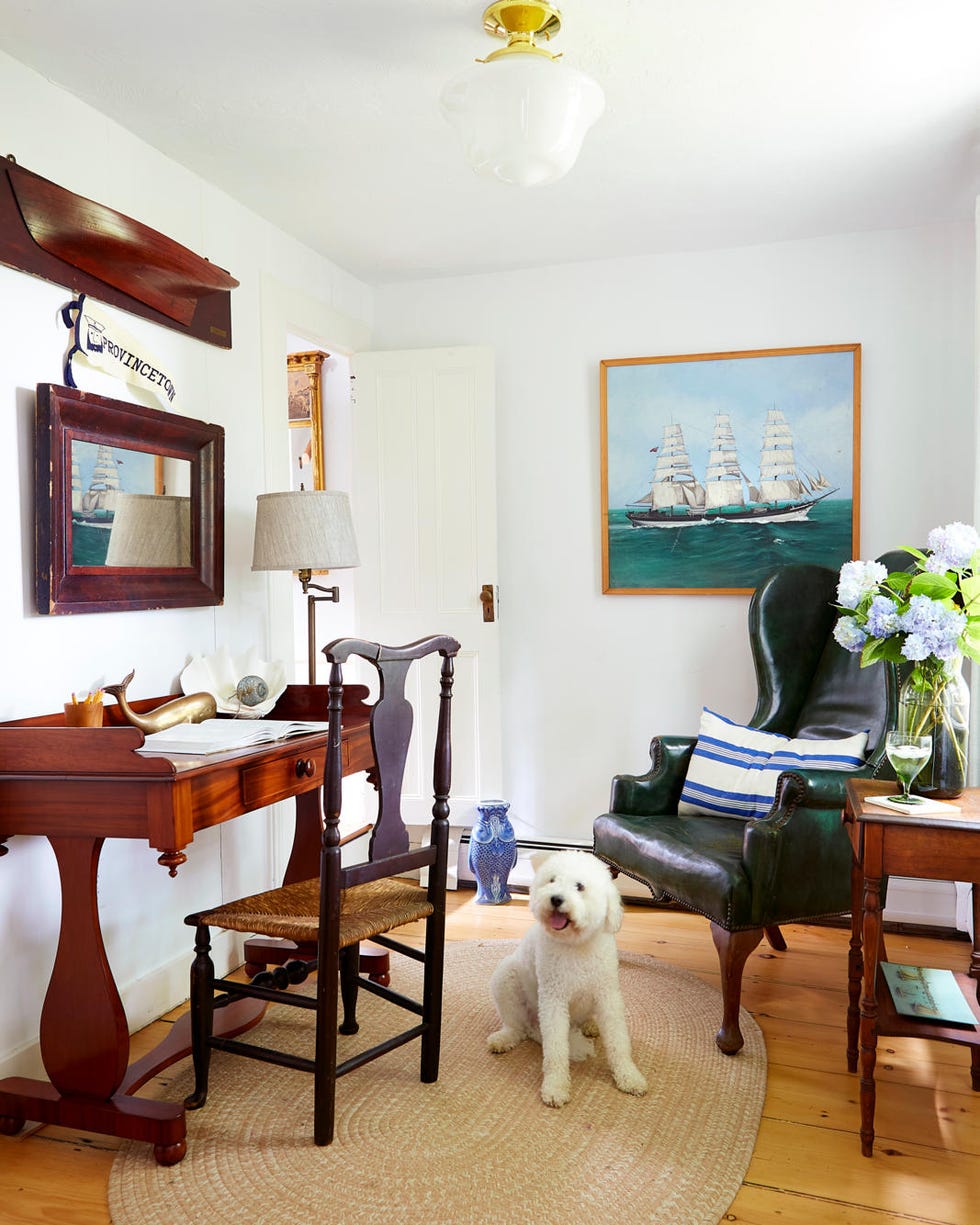 a dog in a home office with wood desk and green leather chair a dog in a office with wood desk and green leather chair