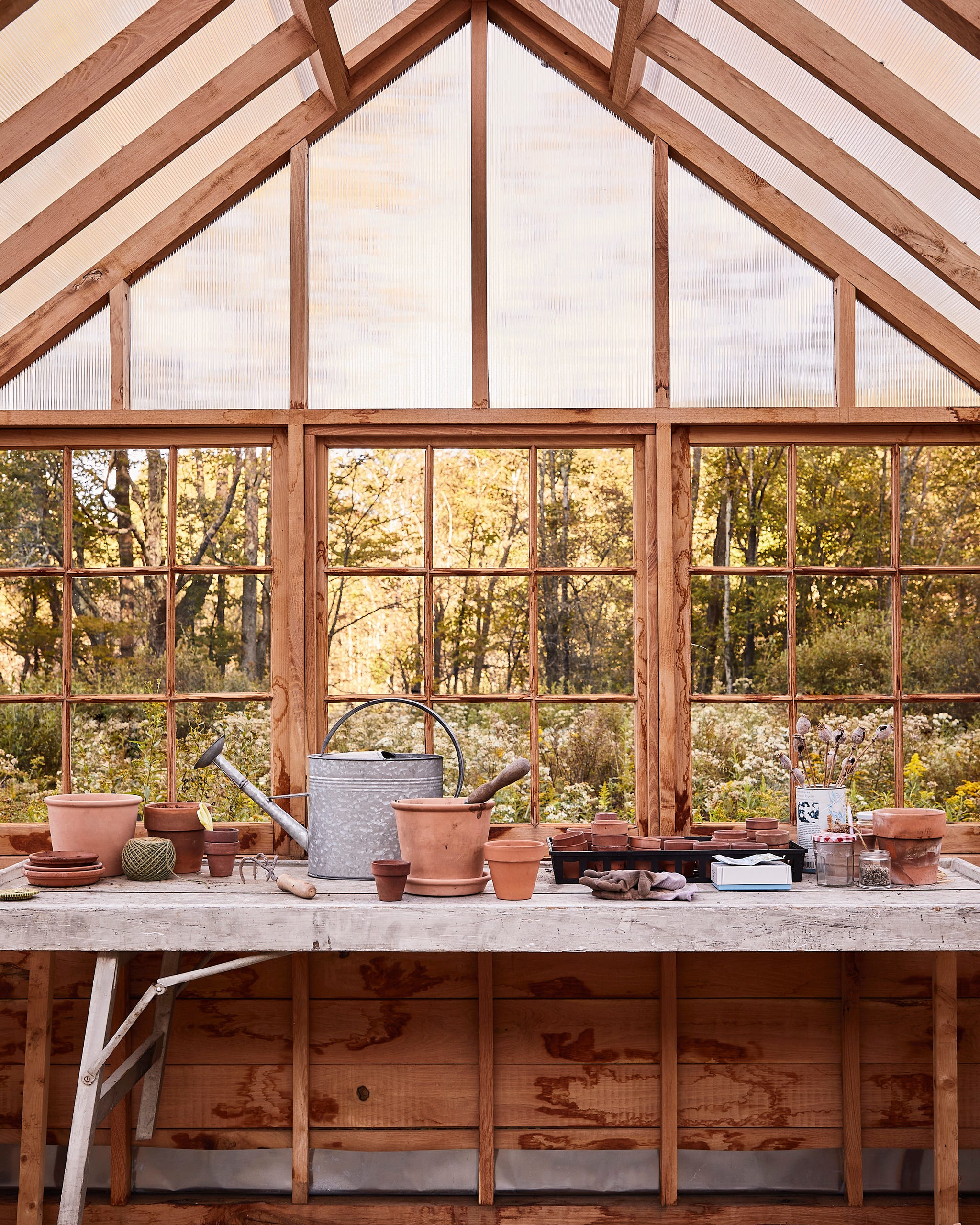 greenhouse interior with gardening tools and pots and large windows