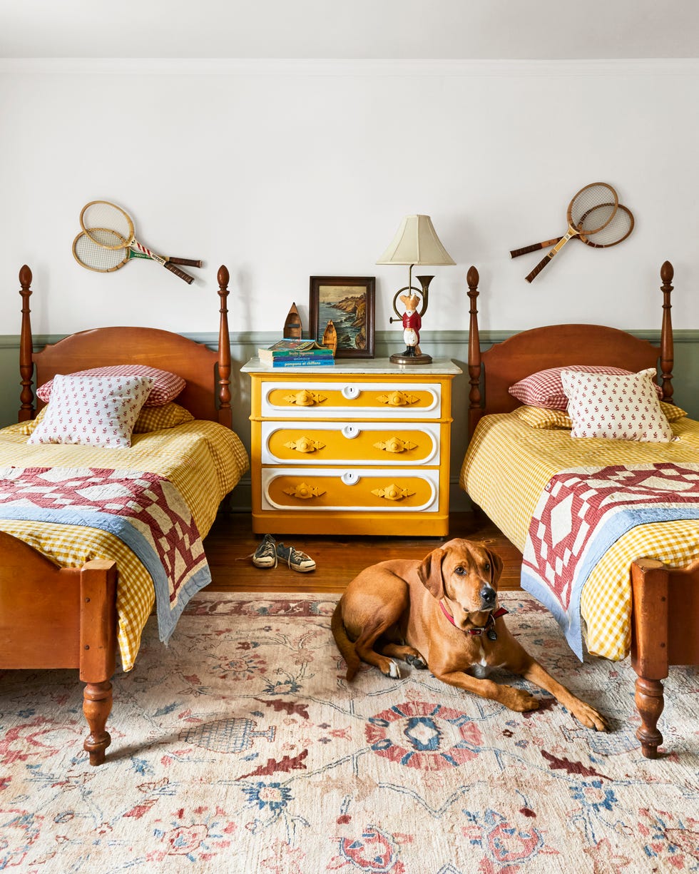 a cozy bedroom with two twin beds, a dog and a yellow dresser