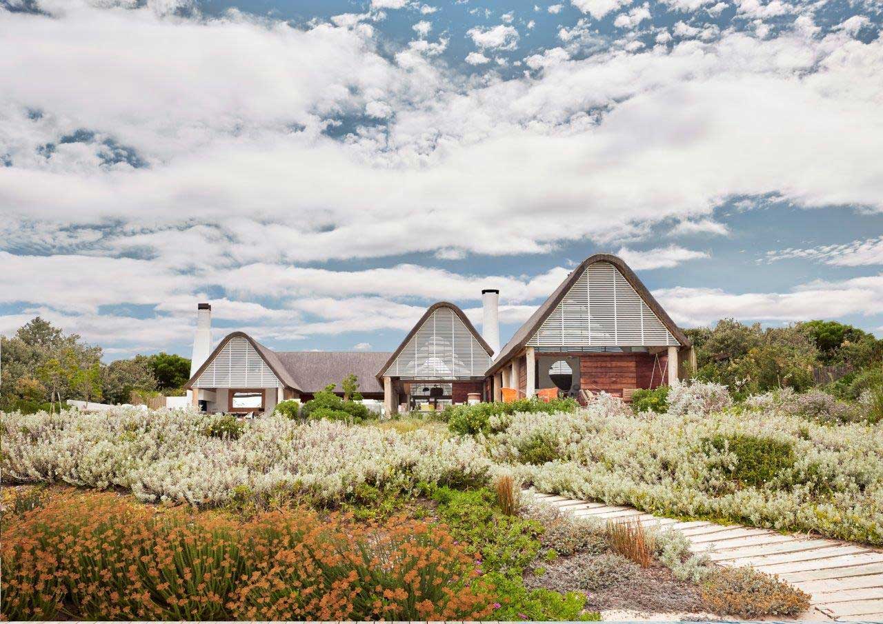 modern thatched roof houses